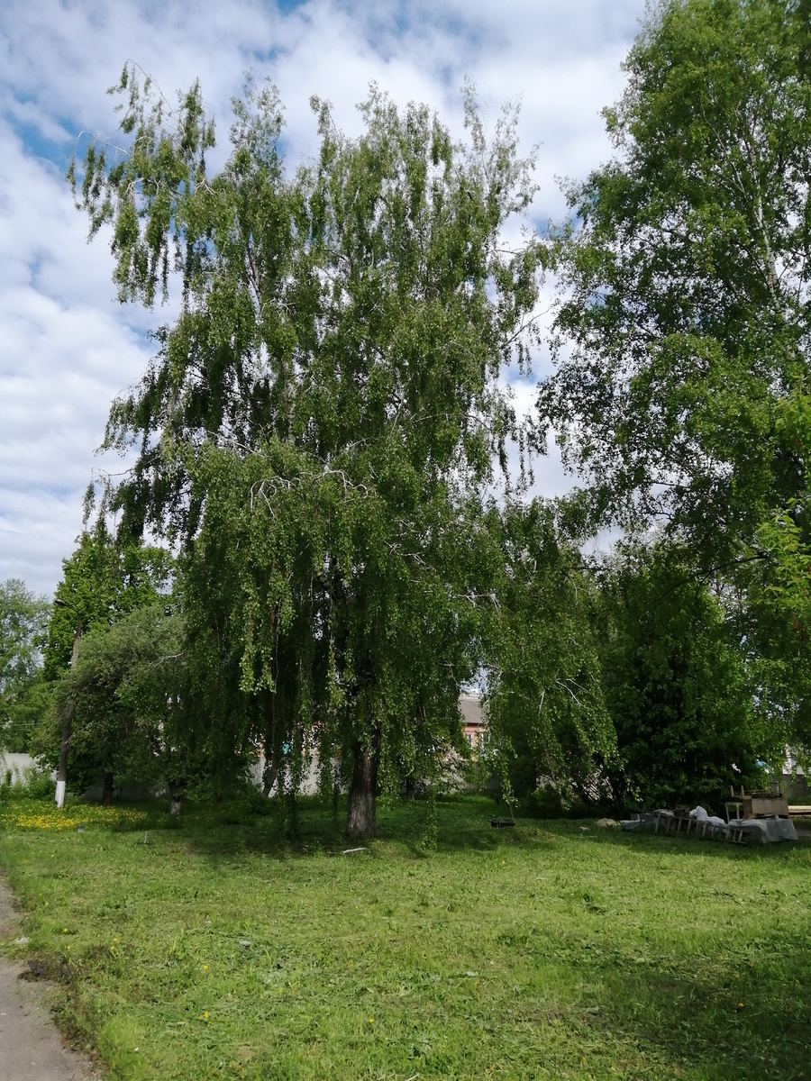 личное фото автора