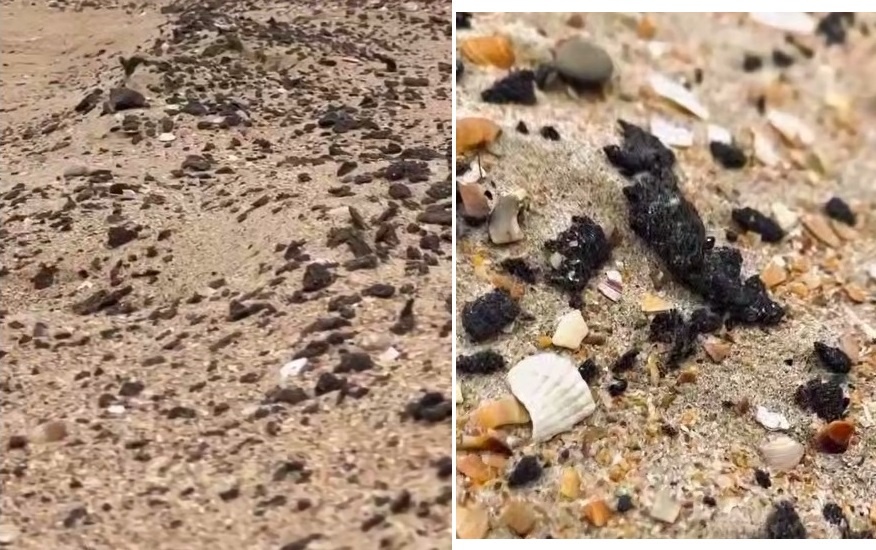 Фото из открытого источника.