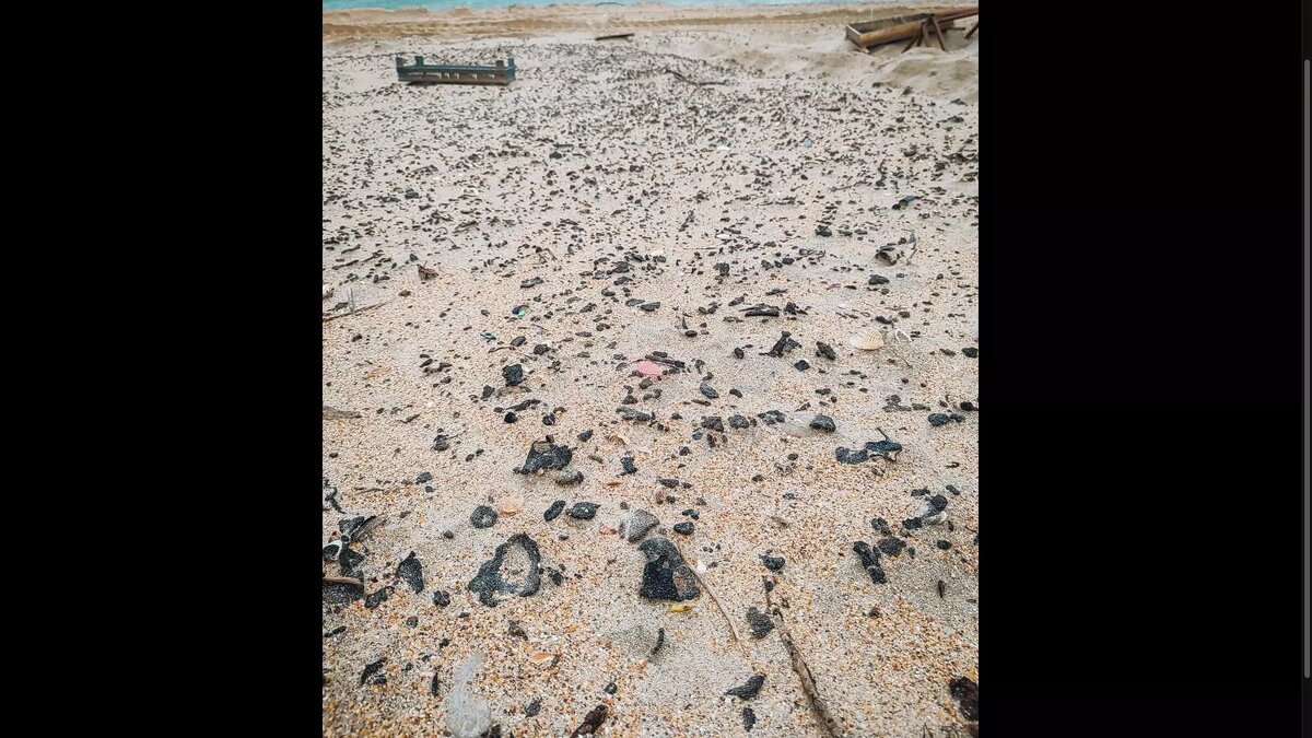 Фото из открытого источника.