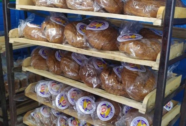    Фиолетовое пшеничное чудо с полей Омской области превращается в оздоровительный хлеб