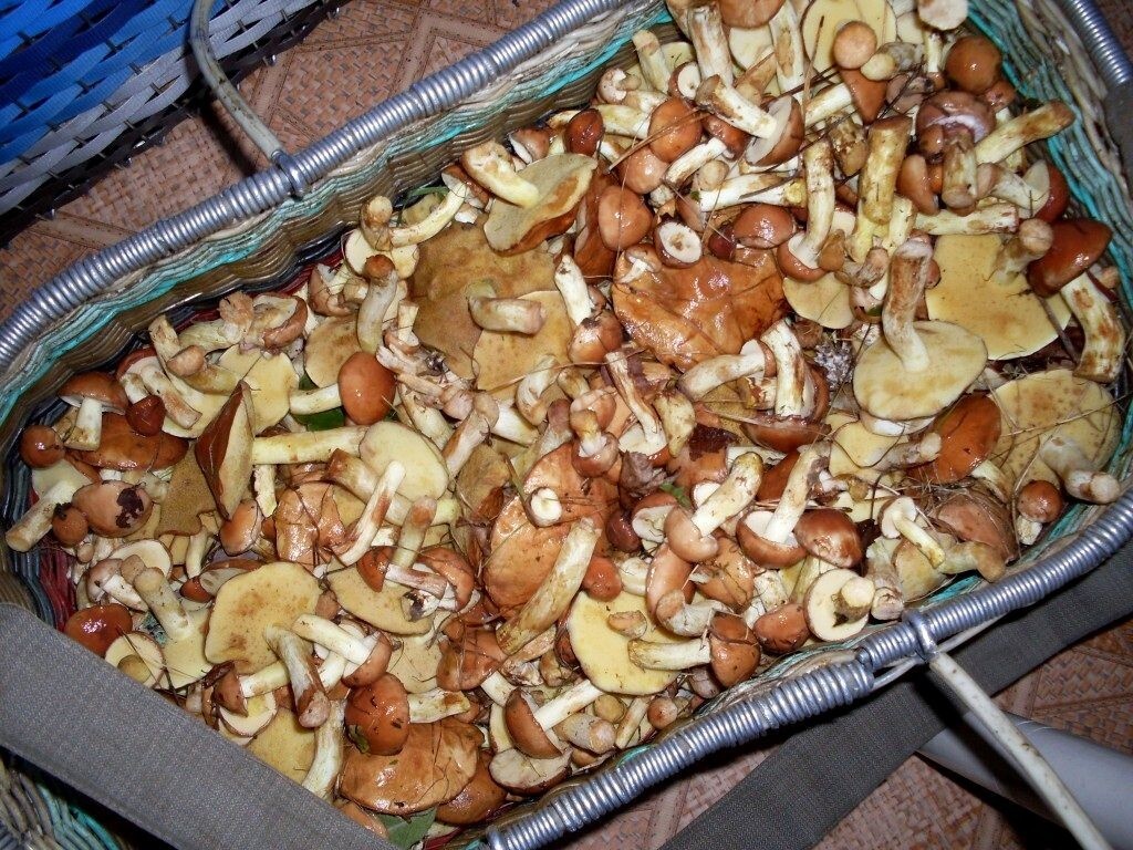 Автор фото Ольга Блинова. Домашние видеоклипы