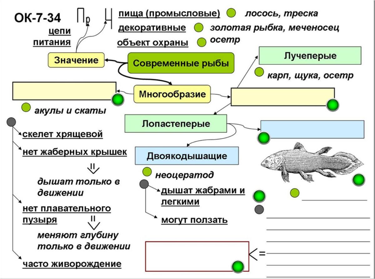 Заготовка опорного конспекта к уроку