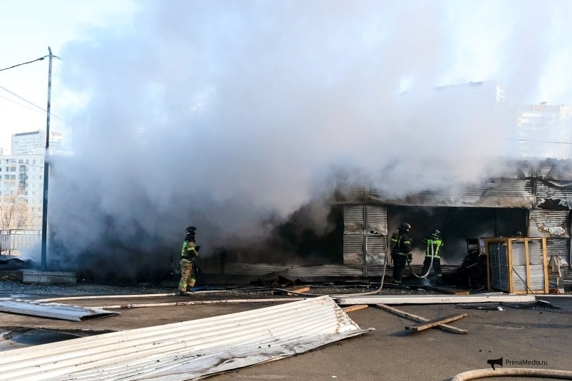    Фото: primamedia.ru Георгий