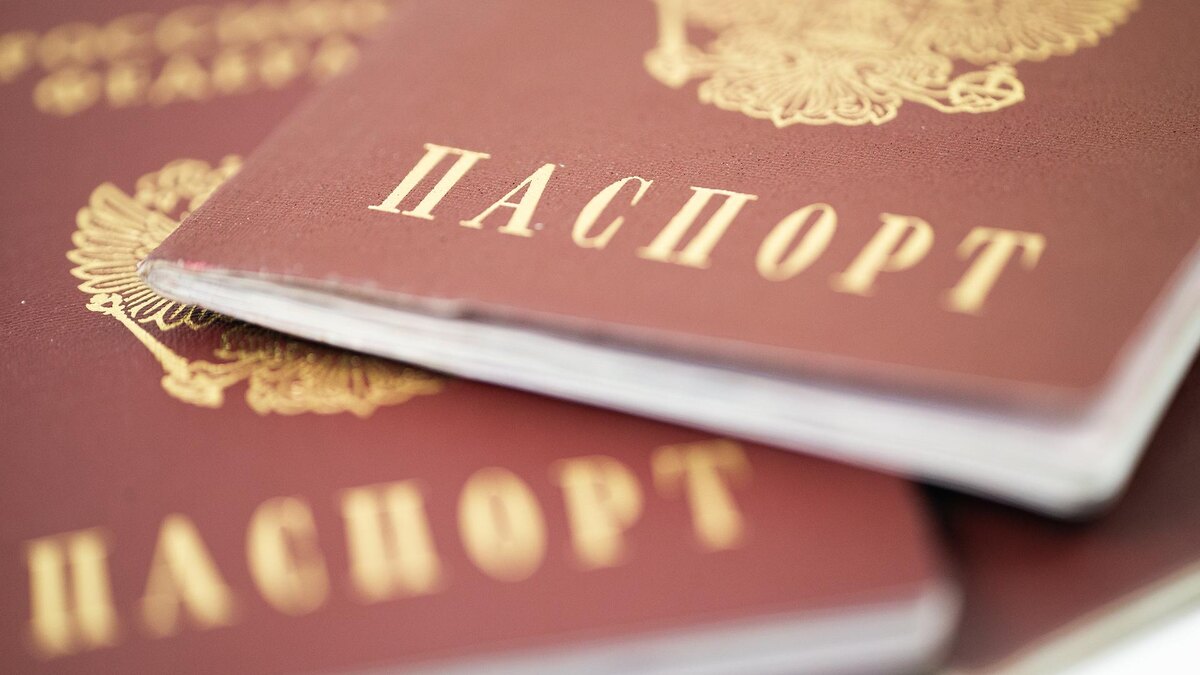    Фото: ИЗВЕСТИЯ/Телеканал «78»