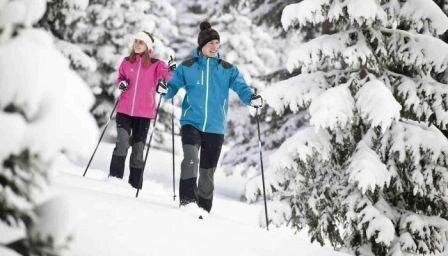 Фото из интернета.