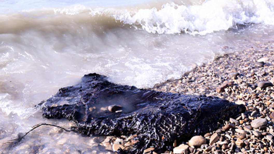    Фото: © Roman Naumov/Globallookpress