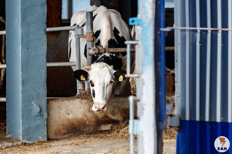    Архивное фото ЕАН