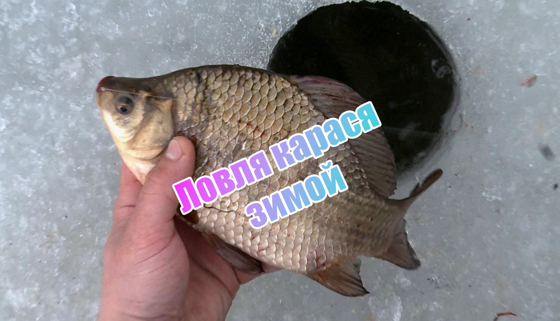 Ловля карася зимой