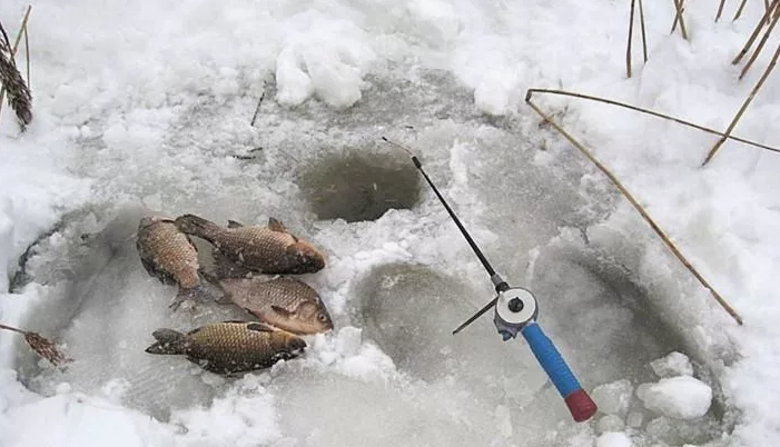 Карась пойманный из лунки зимой. Источник фото Pinterest