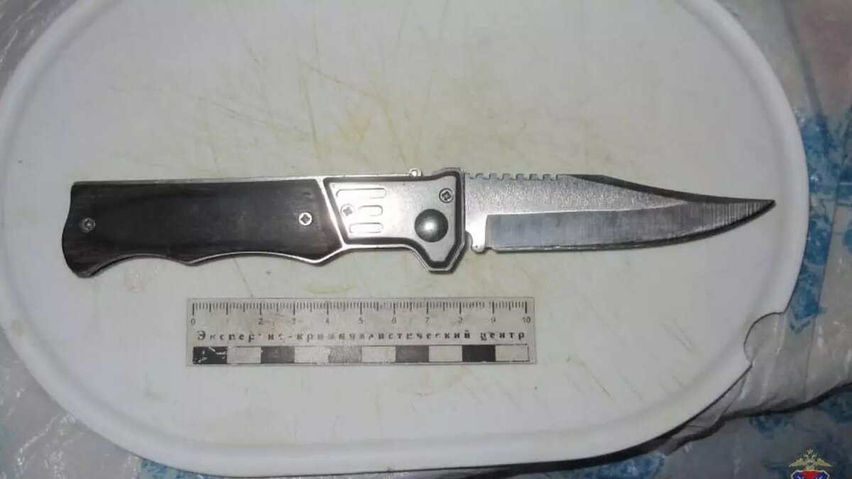     Источник: ГУ МВД по Волгоградской области