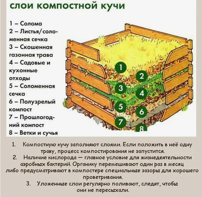 Лето