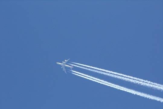    Самолёт с сыном политика развернули в воздухе из-за информации о похищении