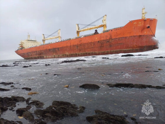     Фото: МЧС РФ