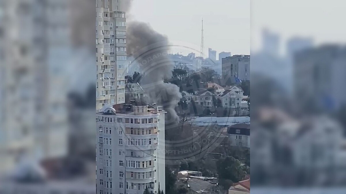    Фото: t.me/sochitypical