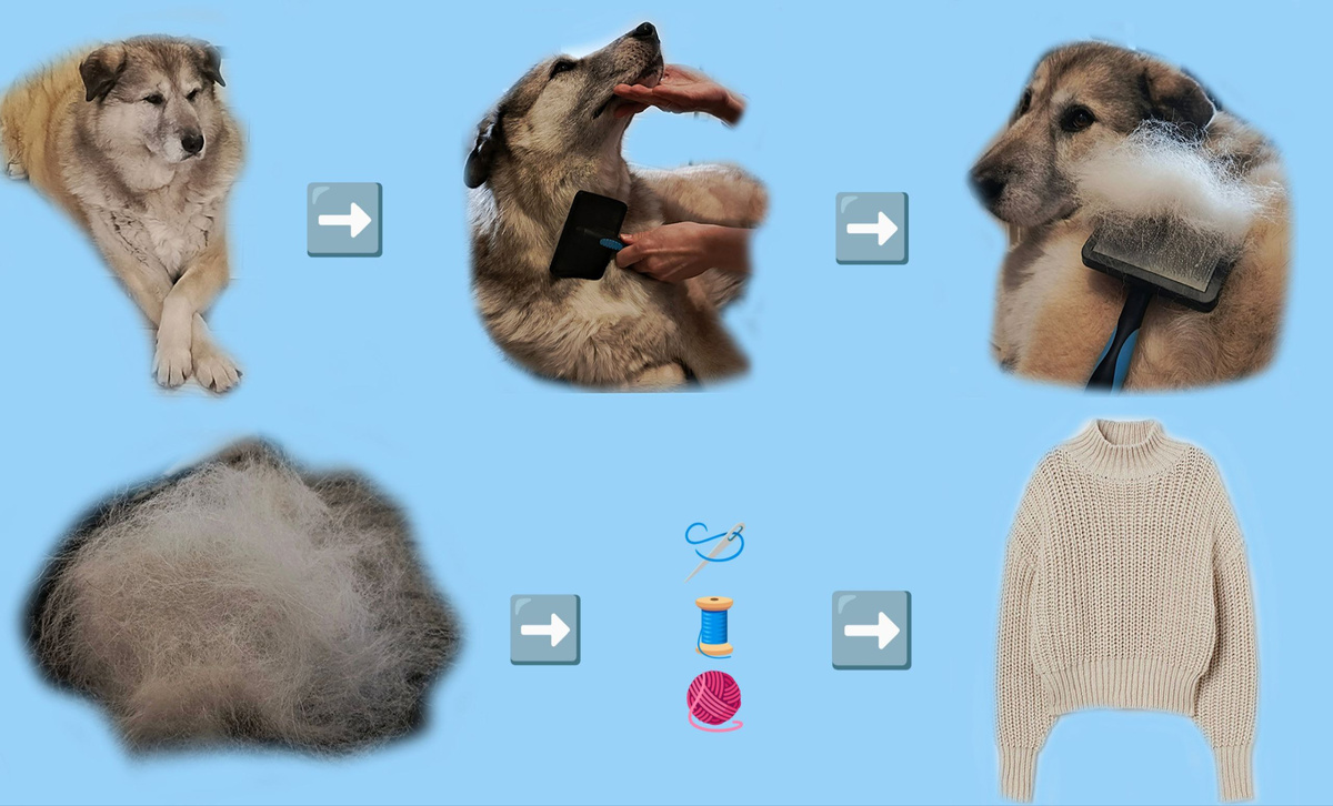 Истории телеграм-канала Толстый Шкаф