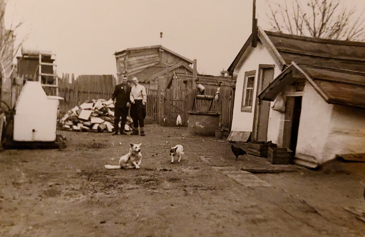 1977 год подворье Воробьевых в х. Камышевский (фото для иллюстрации)
