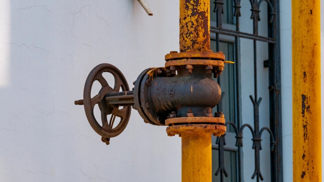    © Svetlana Vozmilova/Globallookpress