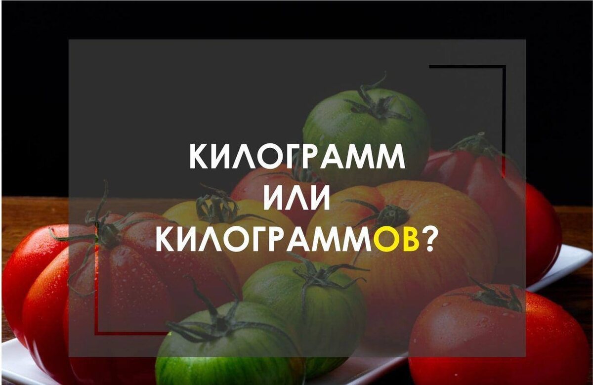 Разбираемся в статье