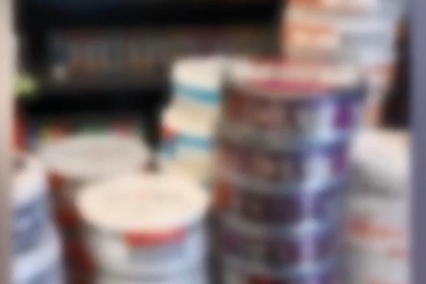 Фото: t.me/police_sochi