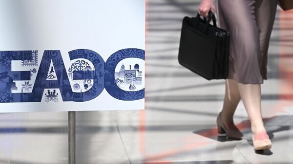    © Sputnik / Фотохост-агентство РИА Новости