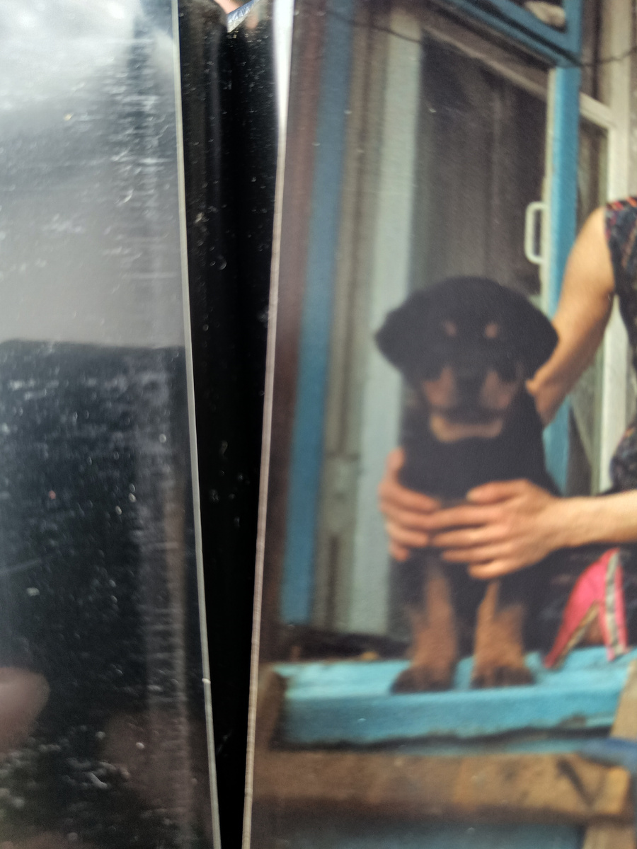 маленький плюшевый комочек