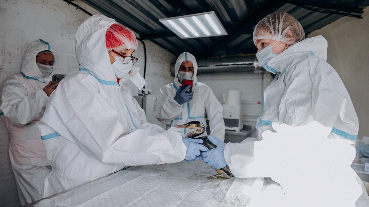    Фото: телеканал «Краснодар»