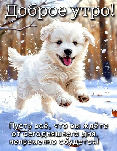 Фото из сети Интернет