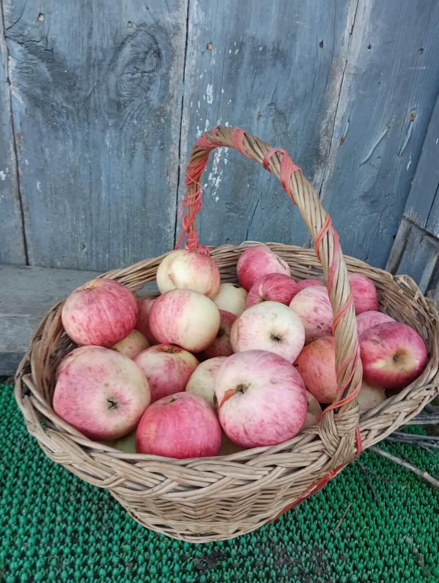 Сон про бабушку. Фото автора