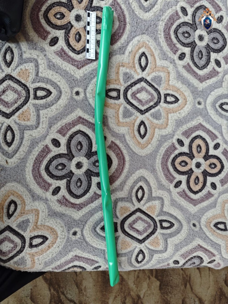 Фото: Следственного комитета РФ по Омской области.