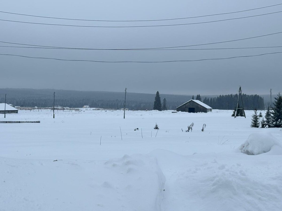 БЕЛОСНЕЖЬЕ, из личных фото автора Лидии Шатиловой