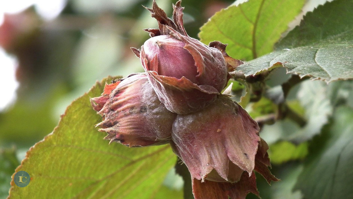 Источник: сервис бесплатных изображений pixabay.com