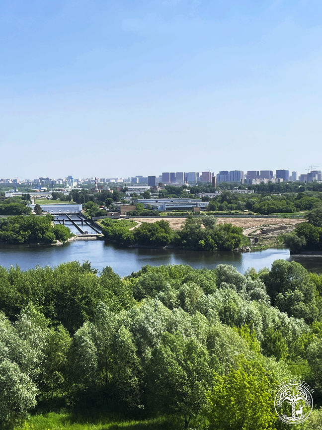 Вид с Дьяковского холма на Курьяновскую пойму. 