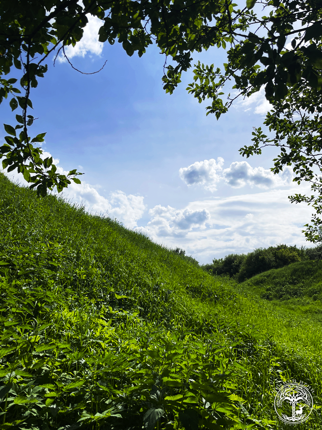 Голосов овраг.