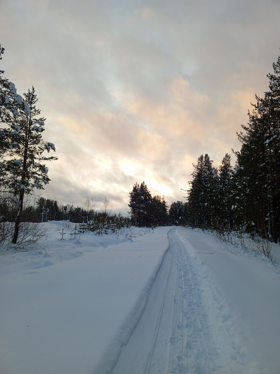 Лыжня идет по следу снегохода