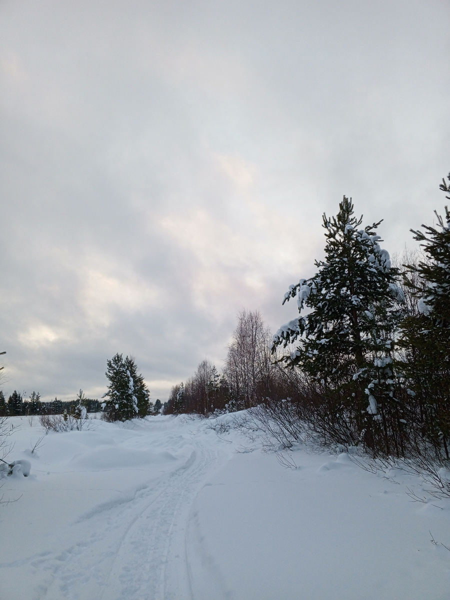 Солнечные сполохи
