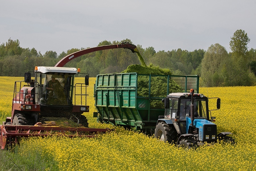 Фото: БЕЛТА