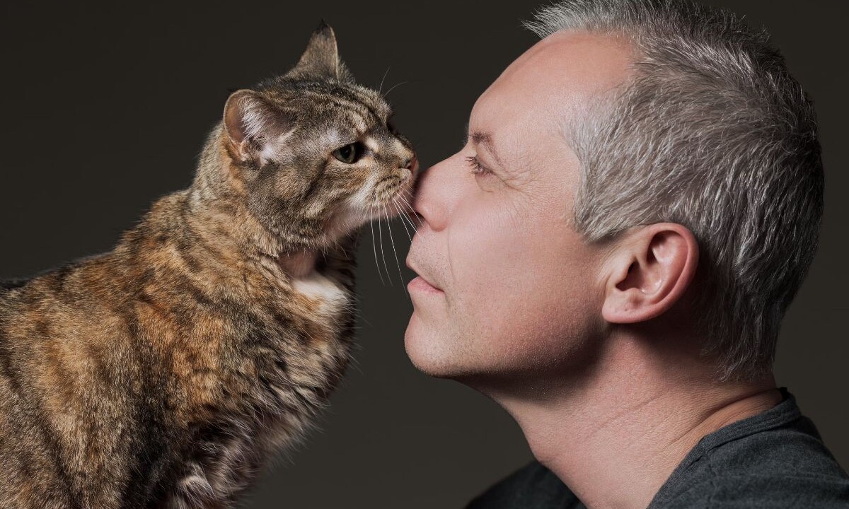 Иманера. Иманера. Таблетки эманера инструкция. Иманера. Иманера.