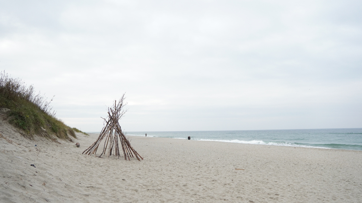 Куршская коса