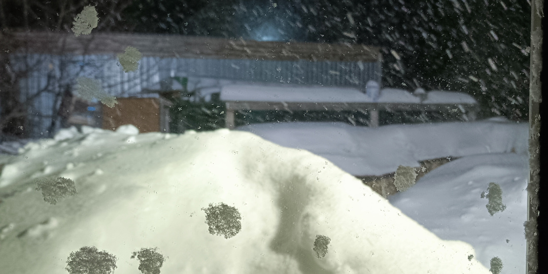 Говорить не могу. Буду писать.