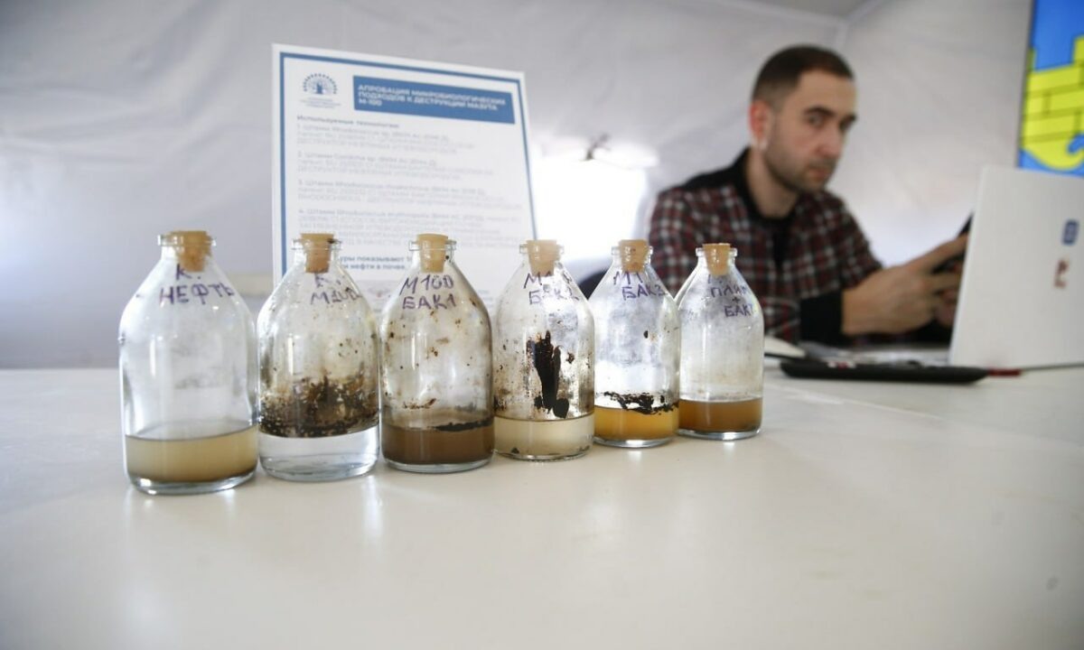    Фото пресс-службы администрации Краснодарского края