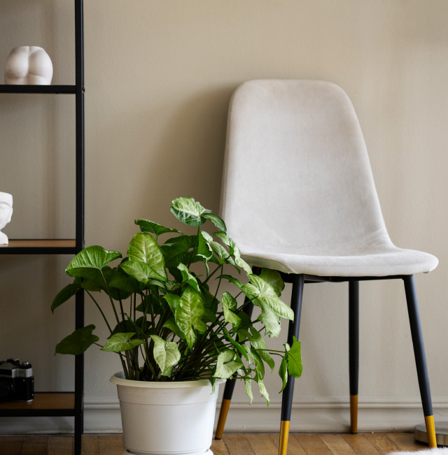 Интерьер мебельного салона