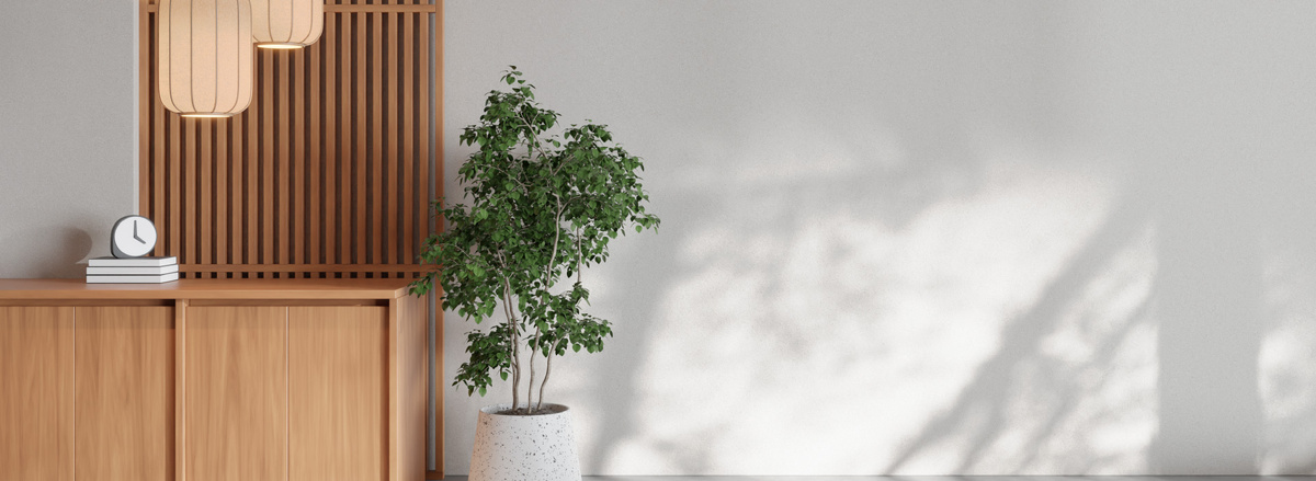 Мебельный салон «Aestra»