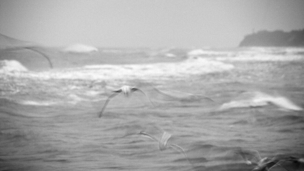    Nikolay Voskresenskii/Russian Look/Globallookpress