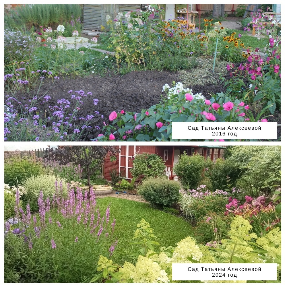 Листайте галерею по стрелке вправо