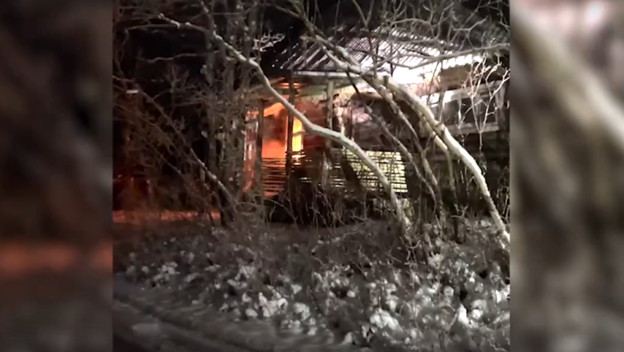    Фото: скриншот