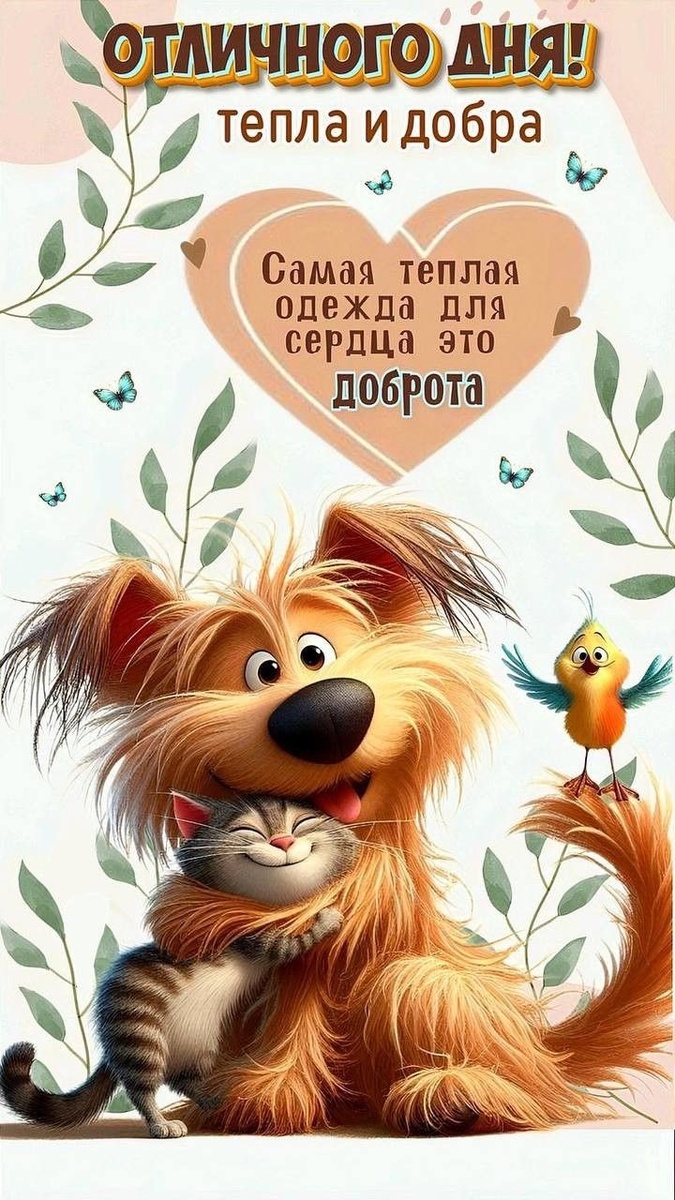 Фото из интернета.