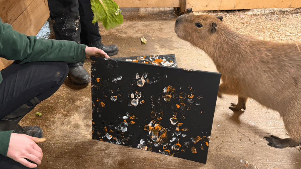    instagram.com/animaladventurepark