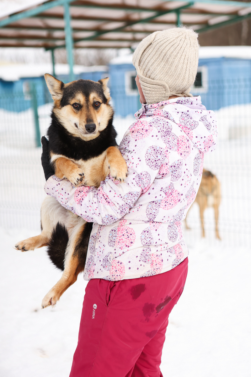 Очень прошу про меня дочитать до конца. Помотала я Наташке и еще кой кому нервы, но оно того стоило!
