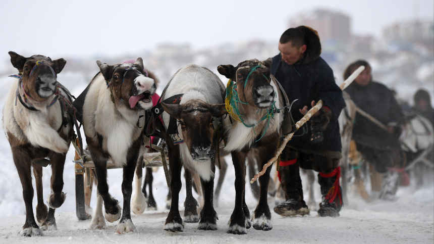    Фото: © РИА Новости/Алексей Майшев