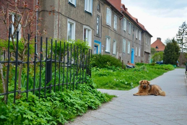   Фото из архива Калининград.Ru